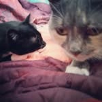Otis and Penny - @penny.and.otis - Instagram
