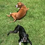 Penny - @penny.n.otis - Instagram