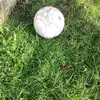 Otis.  Richards - @billy_no_mates123 - TikTok