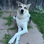 Otis Nunn-Richards - @theotiscollection - Instagram