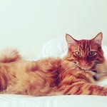 Otis Richards - @thehoneyodie - Instagram