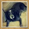 ♧Haylee♤ - @otisriggs123h - TikTok