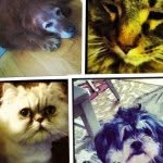 momowriggsrockotis - @momowriggsrockotis - Instagram