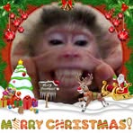 Otis Riggs - Facebook
