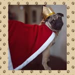 ᴏᴛɪs ᴀʀᴢᴜʙᴇ ʟɪɴᴢᴀɴ ʀɪᴠᴇʀᴀ - @principe__otis - Instagram