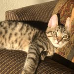 Otis Rivera - @oatsmygoats_ - Instagram