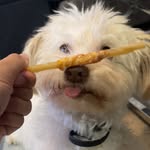 Otis Rivera - @otissimusdorsi - Instagram