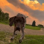 Otis Russell - @otiy_boaty - Instagram