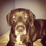 Otis Russell - @otisrussell - Instagram