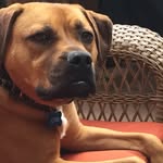 Otis Russell - @otisrussell1 - Instagram