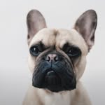 Otis Russell-Ford - @otis_russell_ford - Instagram