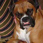 Otis Schroeder - Facebook