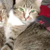 Otis Schroeder - @tia196347 - TikTok