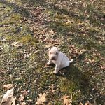 Otis Curley - @sharpotis - Instagram