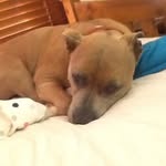 Run By Finnlay - @otis.brown_simpson - Instagram