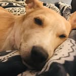 Otis Sims - @otis_it_is - Instagram