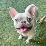 Otis Lee Starkey - @otisleestarkey - Instagram