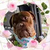 Janet Stephens Otis - @janetstephensotis54 - TikTok