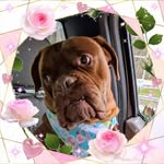 Janet Stephens Otis - @stephensotis - Instagram