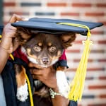 koda otis dansby atlanta braves uga stephens - @thekodaotis - Instagram