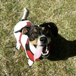 Stewart Otis - @stewart_otis_ - Instagram