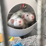@x_louis_otis_stuart_casper_x - Instagram
