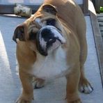 Otis Sweeney - Facebook