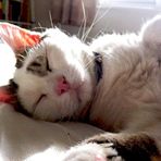 Otis Sweeney Sammon - Facebook
