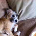 Otis Todd - Facebook