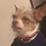 @otis.walkerrr - Instagram