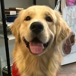 Otis Walters - @otisthebutters - Instagram