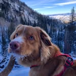 Otis Weaver - @segbekelier - Instagram
