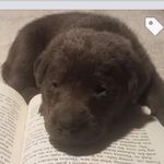 Otis Weaver - @otisbgood - Instagram