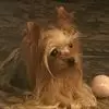 Maree Webb Otis - @maree.webb.otis - TikTok