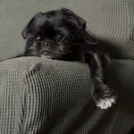 Otis James Webb - @whatsotiswant - Instagram