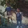 otiswebb936 - @otiswebb936 - TikTok
