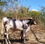 Enoc Otoniel Peña - Facebook
