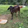 Otoniel Peña - @otoniel.pea - TikTok