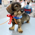 Otto Von Ball - @ottovonball - Instagram