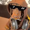 Ottito - @ottobrown.dog - TikTok