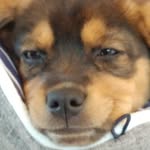 Otto Brown - @otto_time - Instagram