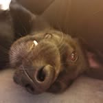 Otto Hestia Garraway☯️ - @otto.brown.eyes - Instagram