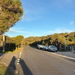 Otto Campbelll - @ottocampbell_close - Instagram