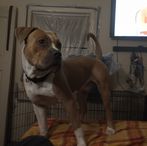 Otto Duffy - Facebook