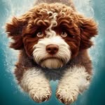 Otto il lagotto - @duffy_otto_lagotto - Instagram