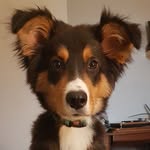 Otto Von Ford - @ottovonford - Instagram