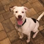 Otto Hamilton Fuller - @otto.fuller - Instagram