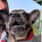 @otto_giron_ - Instagram
