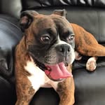 Otto Graham - @ottograhamempire - Instagram