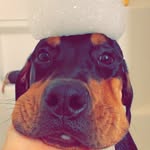 Otto Graham Ellis - @ottoismymotto10 - Instagram